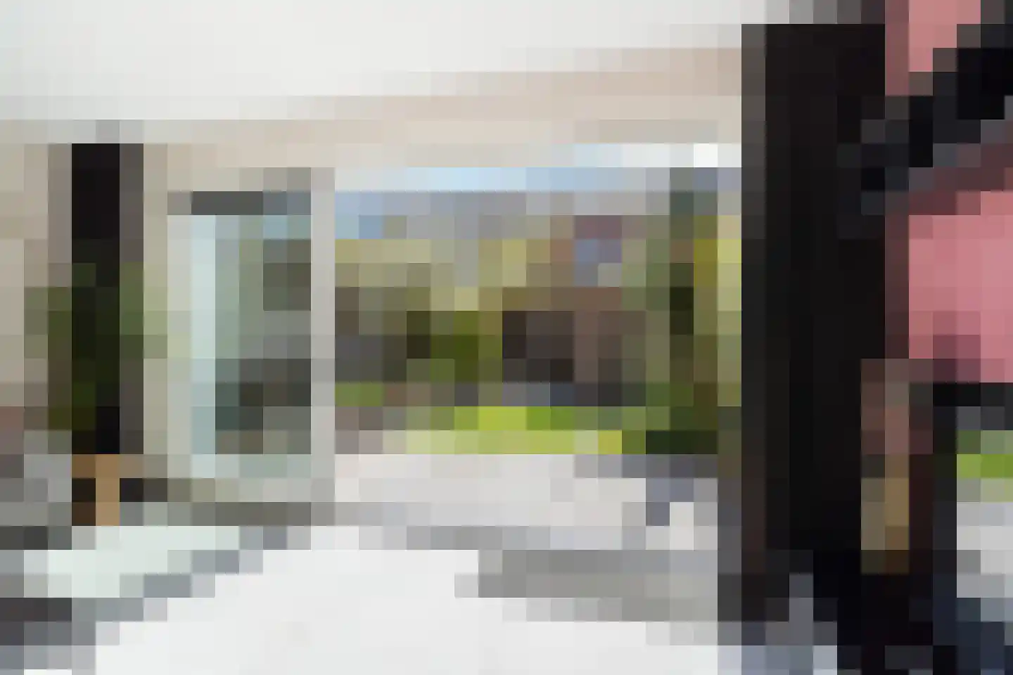 Citroenvlinder 23 's-Gravenzande thumbnail 15