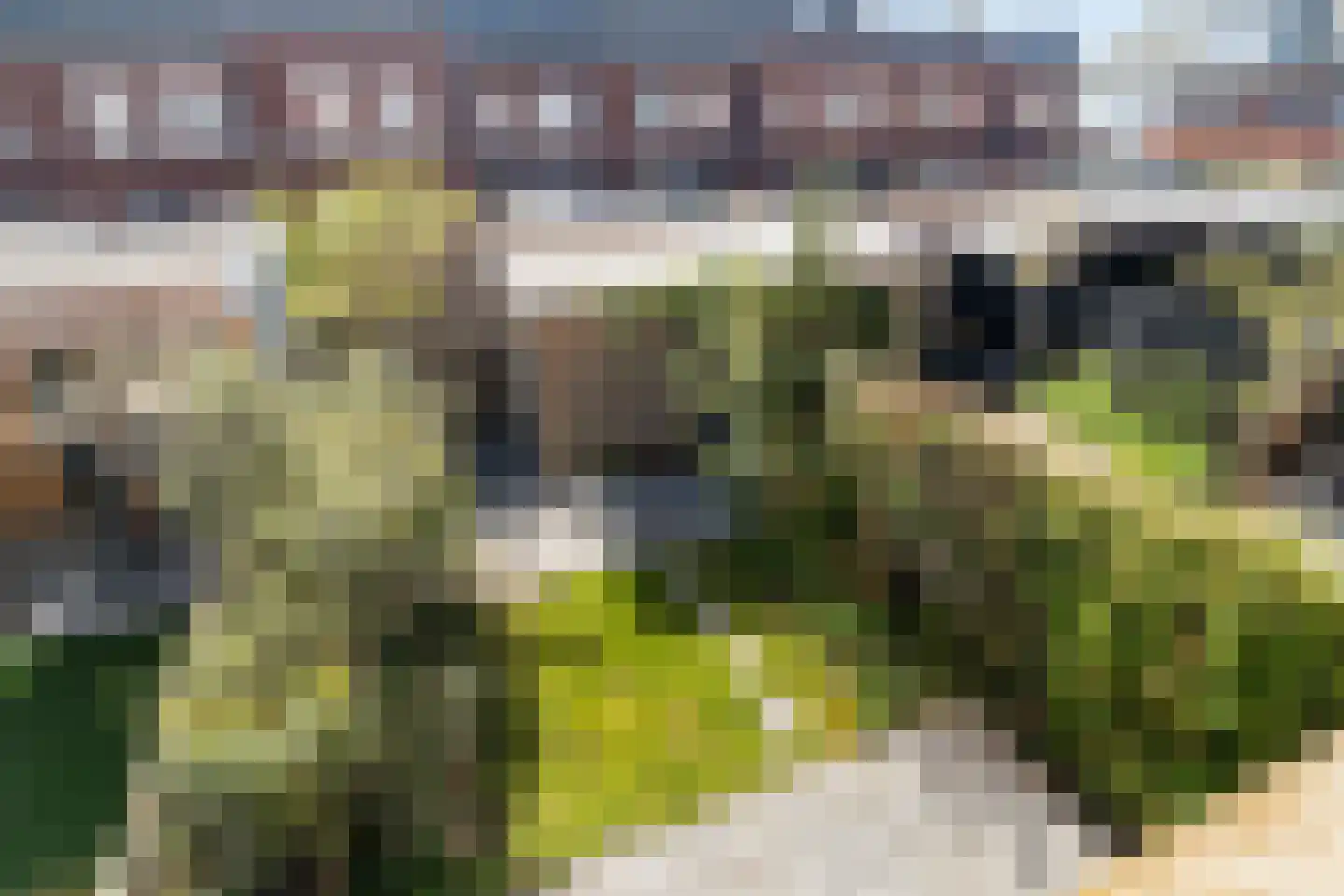 Citroenvlinder 23 's-Gravenzande thumbnail 37