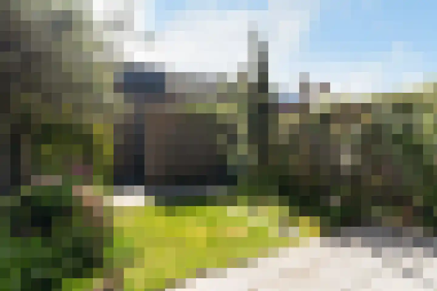 Citroenvlinder 23 's-Gravenzande thumbnail 38