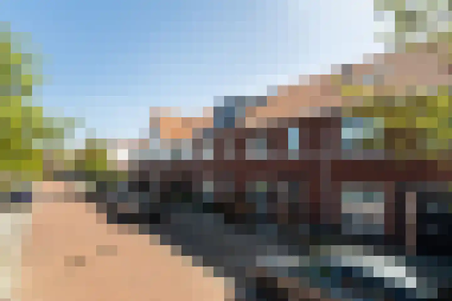 Citroenvlinder 23 's-Gravenzande thumbnail 41