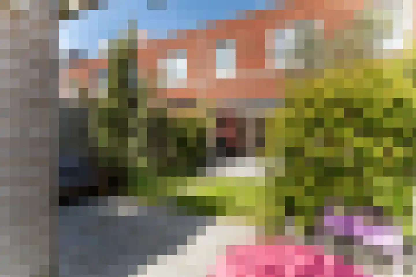 Citroenvlinder 23 's-Gravenzande thumbnail 42