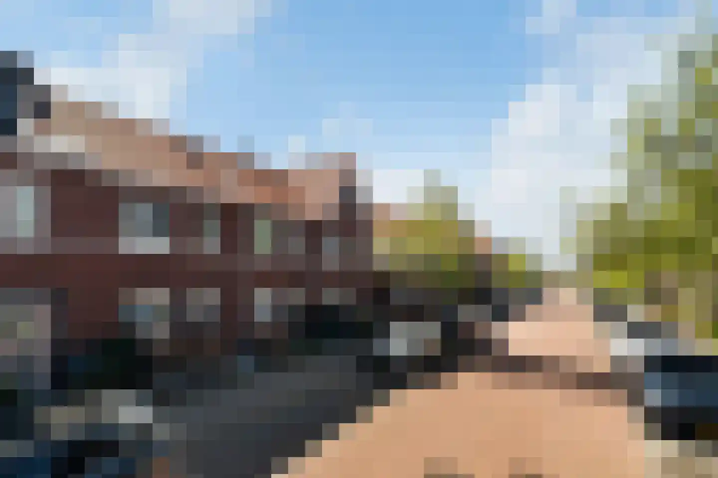 Citroenvlinder 23 's-Gravenzande thumbnail 43