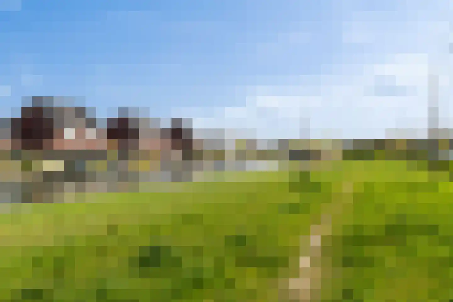Citroenvlinder 23 's-Gravenzande thumbnail 44
