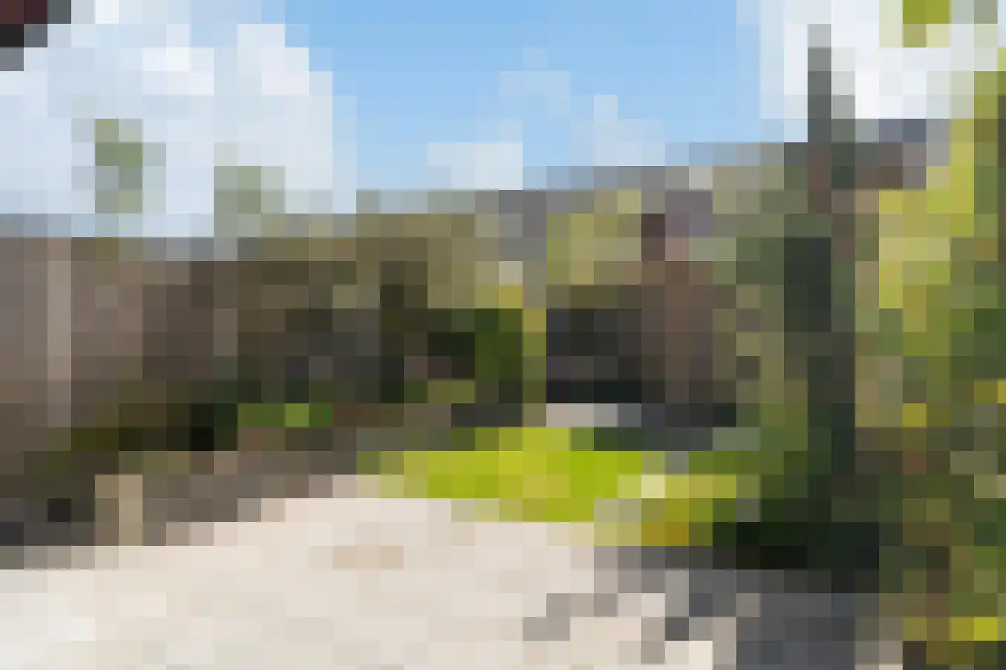 Citroenvlinder 23 's-Gravenzande thumbnail 6