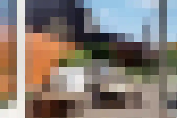 Citroenvlinder 24 Apeldoorn thumbnail 16