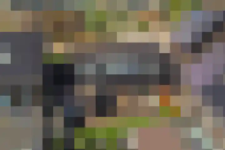 Citroenvlinder 24 Apeldoorn thumbnail 4