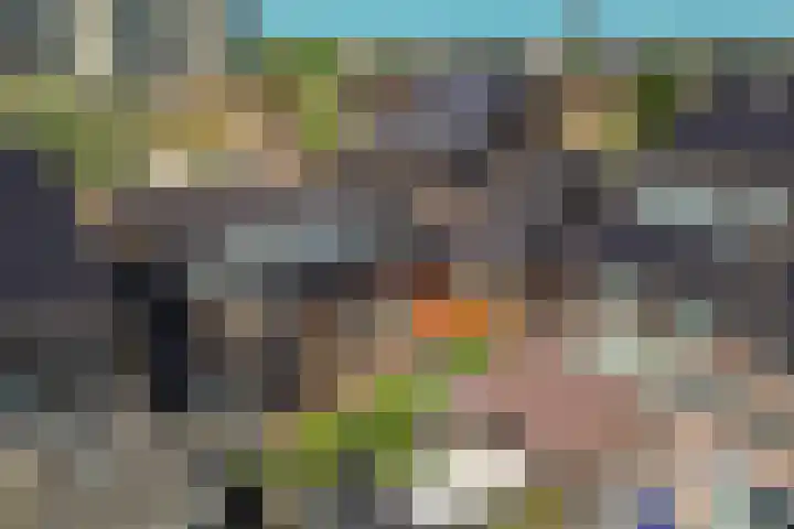 Citroenvlinder 24 Apeldoorn thumbnail 47