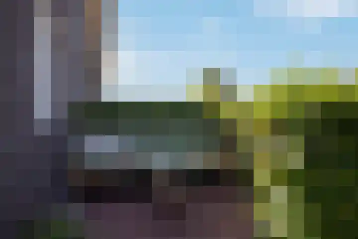 Citroenvlinder 24 Apeldoorn thumbnail 49