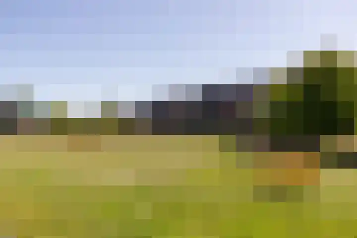 Citroenvlinder 24 Apeldoorn thumbnail 50