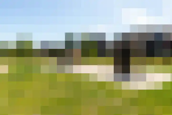 Citroenvlinder 24 Apeldoorn thumbnail 51