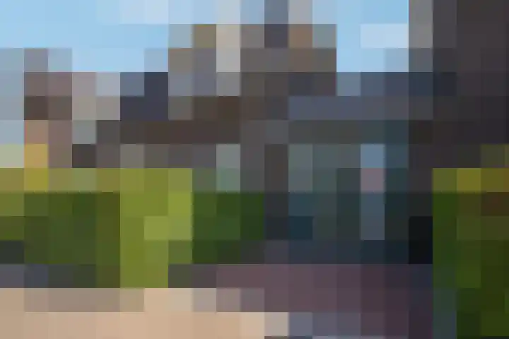 Citroenvlinder 24 Apeldoorn thumbnail 6