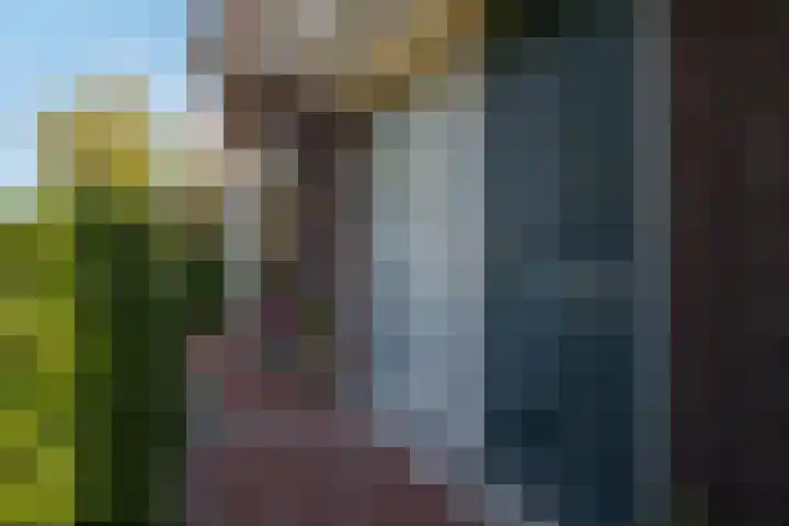 Citroenvlinder 24 Apeldoorn thumbnail 7