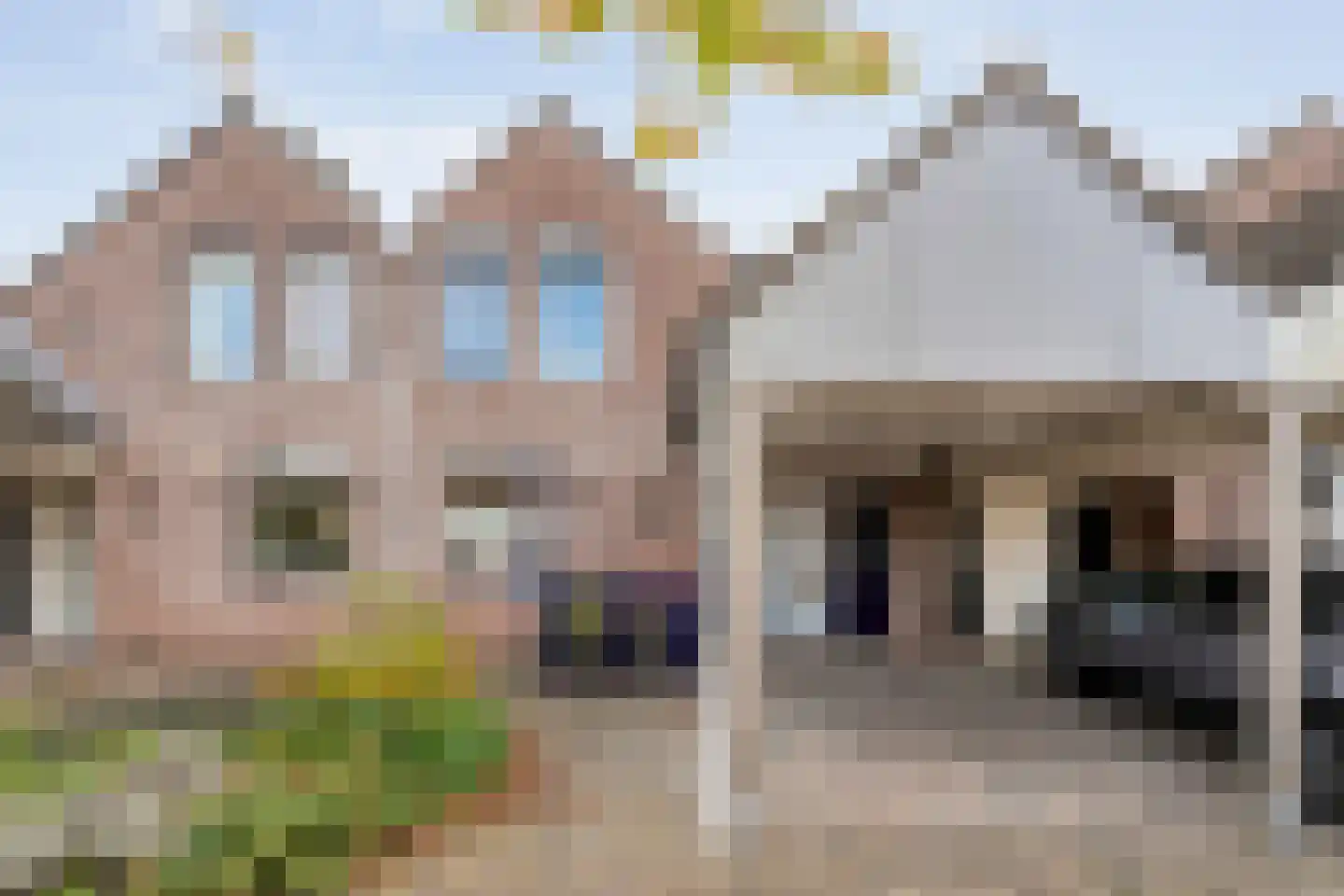 Citroenvlinder 24 Zwolle