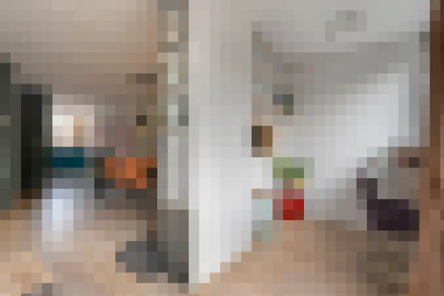 Citroenvlinder 24 Zwolle thumbnail 12