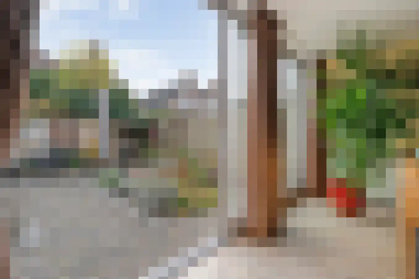 Citroenvlinder 24 Zwolle thumbnail 13