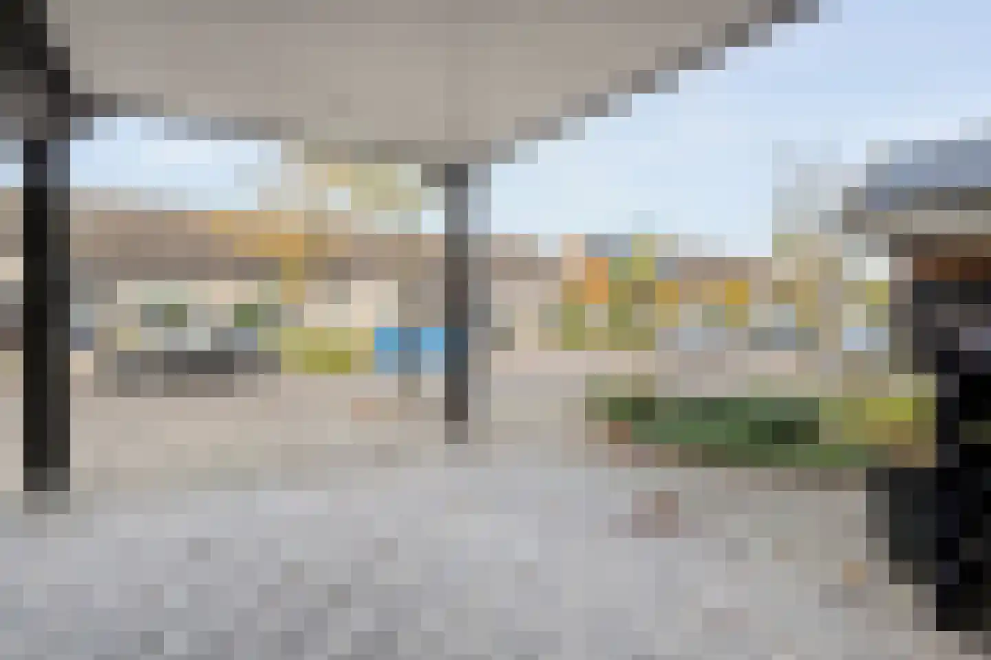 Citroenvlinder 24 Zwolle thumbnail 5