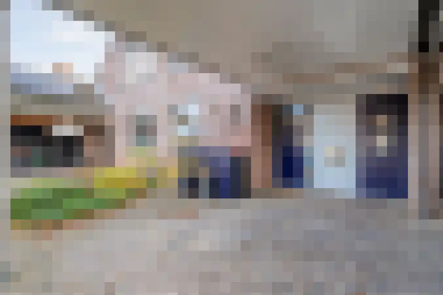 Citroenvlinder 24 Zwolle thumbnail 6