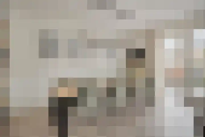 Citroenvlinder 25 Borne thumbnail 10