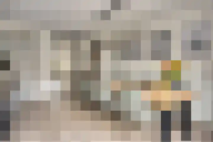 Citroenvlinder 25 Borne thumbnail 11