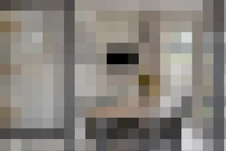 Citroenvlinder 25 Borne thumbnail 12