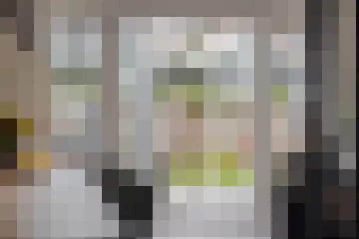 Citroenvlinder 25 Borne thumbnail 13