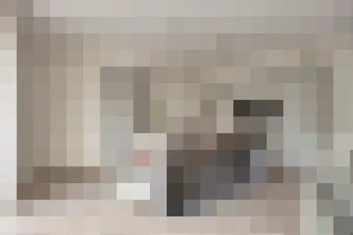 Citroenvlinder 25 Borne thumbnail 15