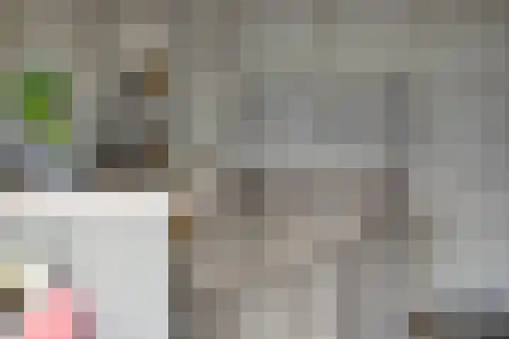 Citroenvlinder 25 Borne thumbnail 16