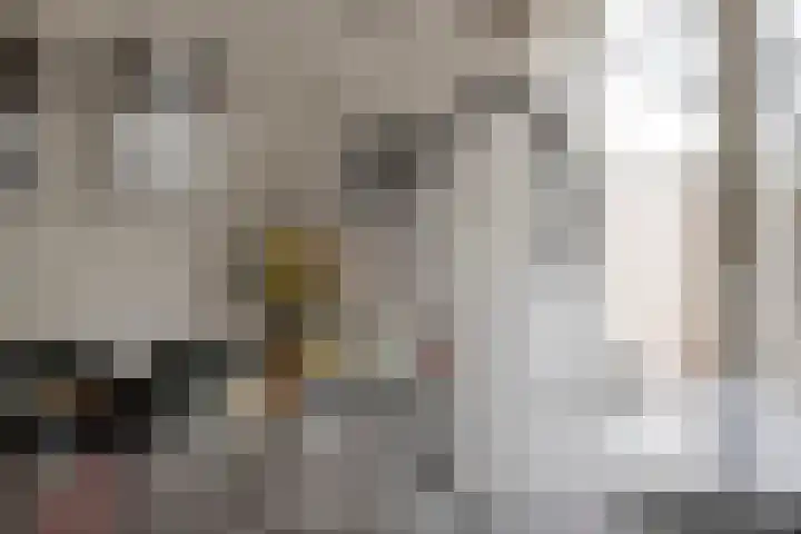 Citroenvlinder 25 Borne thumbnail 17