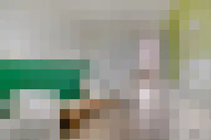 Citroenvlinder 25 Borne thumbnail 26