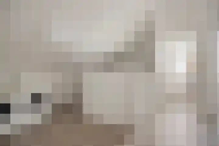 Citroenvlinder 25 Borne thumbnail 29