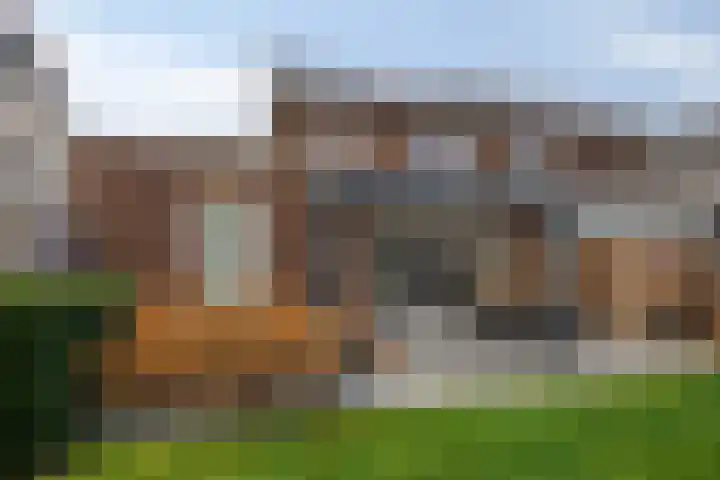 Citroenvlinder 25 Borne thumbnail 33