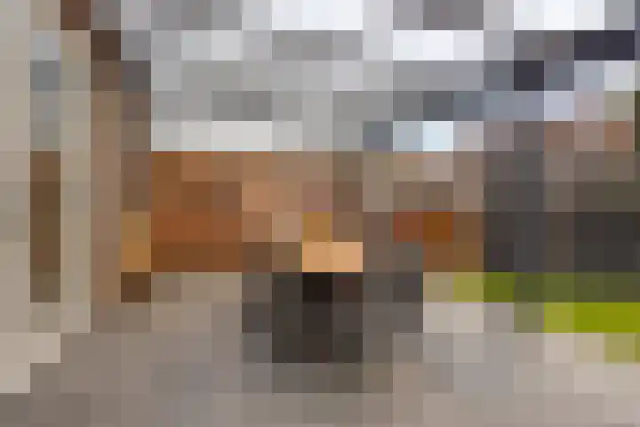 Citroenvlinder 25 Borne thumbnail 35