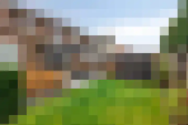 Citroenvlinder 25 Borne thumbnail 36