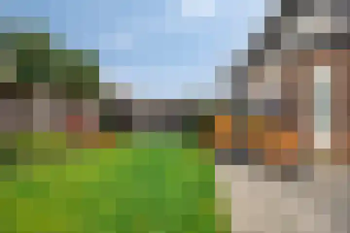 Citroenvlinder 25 Borne thumbnail 37