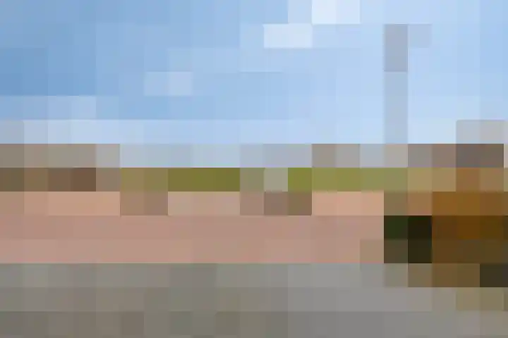 Citroenvlinder 25 Borne thumbnail 39