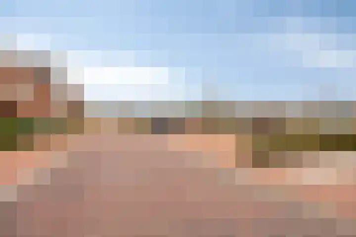 Citroenvlinder 25 Borne thumbnail 40
