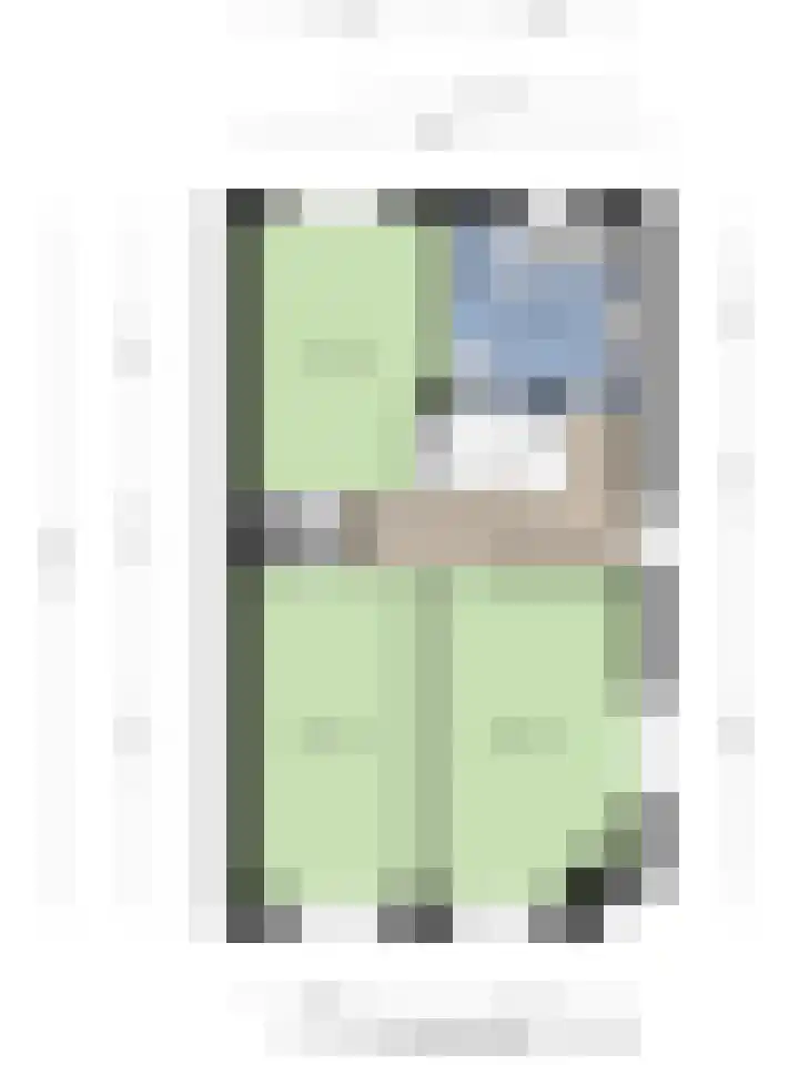 Citroenvlinder 25 Borne thumbnail 42