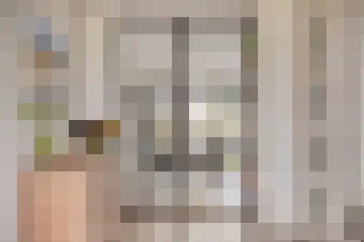 Citroenvlinder 25 Borne thumbnail 7
