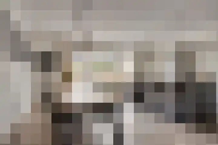 Citroenvlinder 25 Borne thumbnail 9