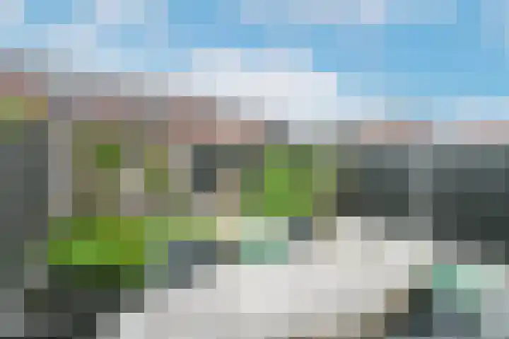Citroenvlinder 25 's-Gravenzande thumbnail 27