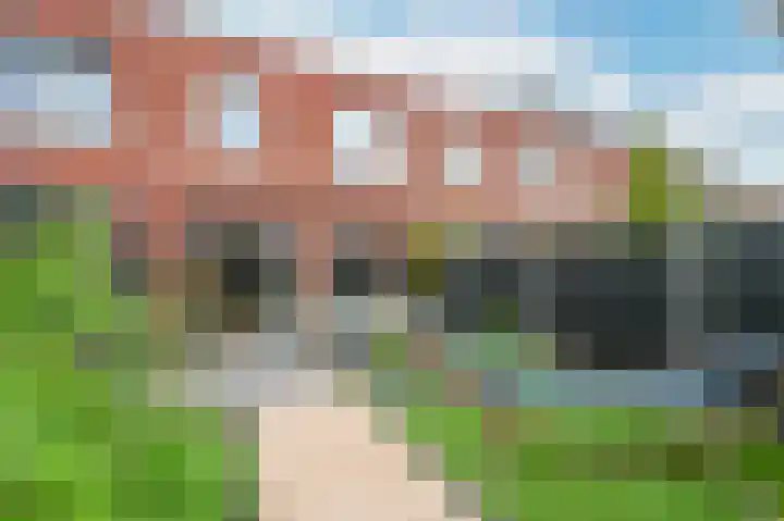Citroenvlinder 25 's-Gravenzande thumbnail 28