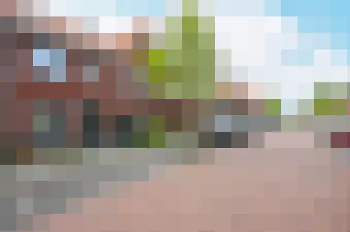 Citroenvlinder 25 's-Gravenzande thumbnail 30