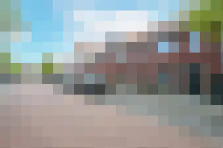 Citroenvlinder 25 's-Gravenzande thumbnail 31