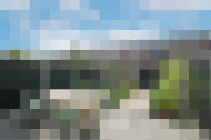 Citroenvlinder 25 's-Gravenzande thumbnail 6