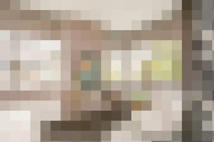 Citroenvlinder 25 Utrecht thumbnail 26
