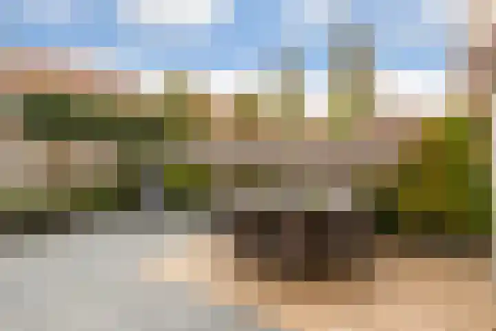 Citroenvlinder 25 Utrecht thumbnail 34
