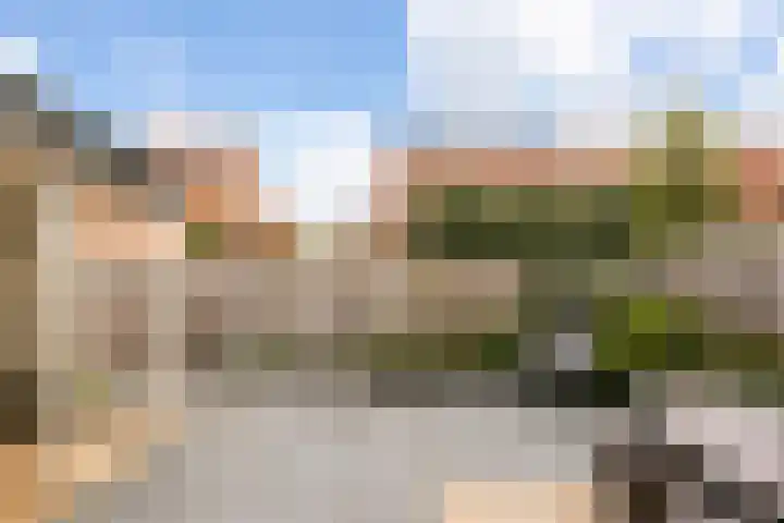 Citroenvlinder 25 Utrecht thumbnail 35