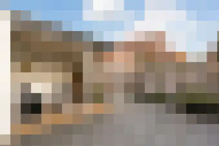 Citroenvlinder 25 Utrecht thumbnail 36