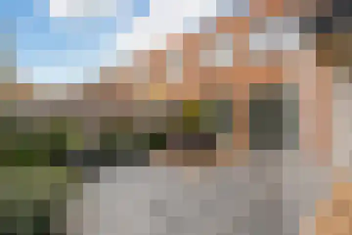 Citroenvlinder 25 Utrecht thumbnail 40