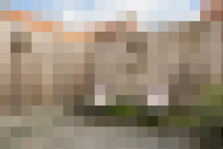 Citroenvlinder 25 Utrecht thumbnail 41